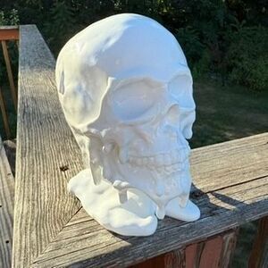 NEW Melted Dripping White Skull Art Halloween Creepy Spooky Sculpture 8”